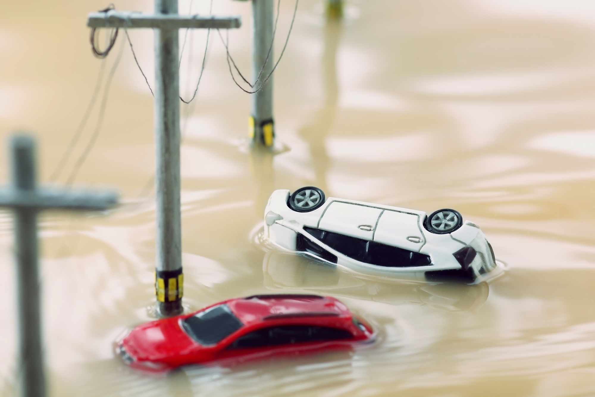 自然災害で自動車保険がでる？