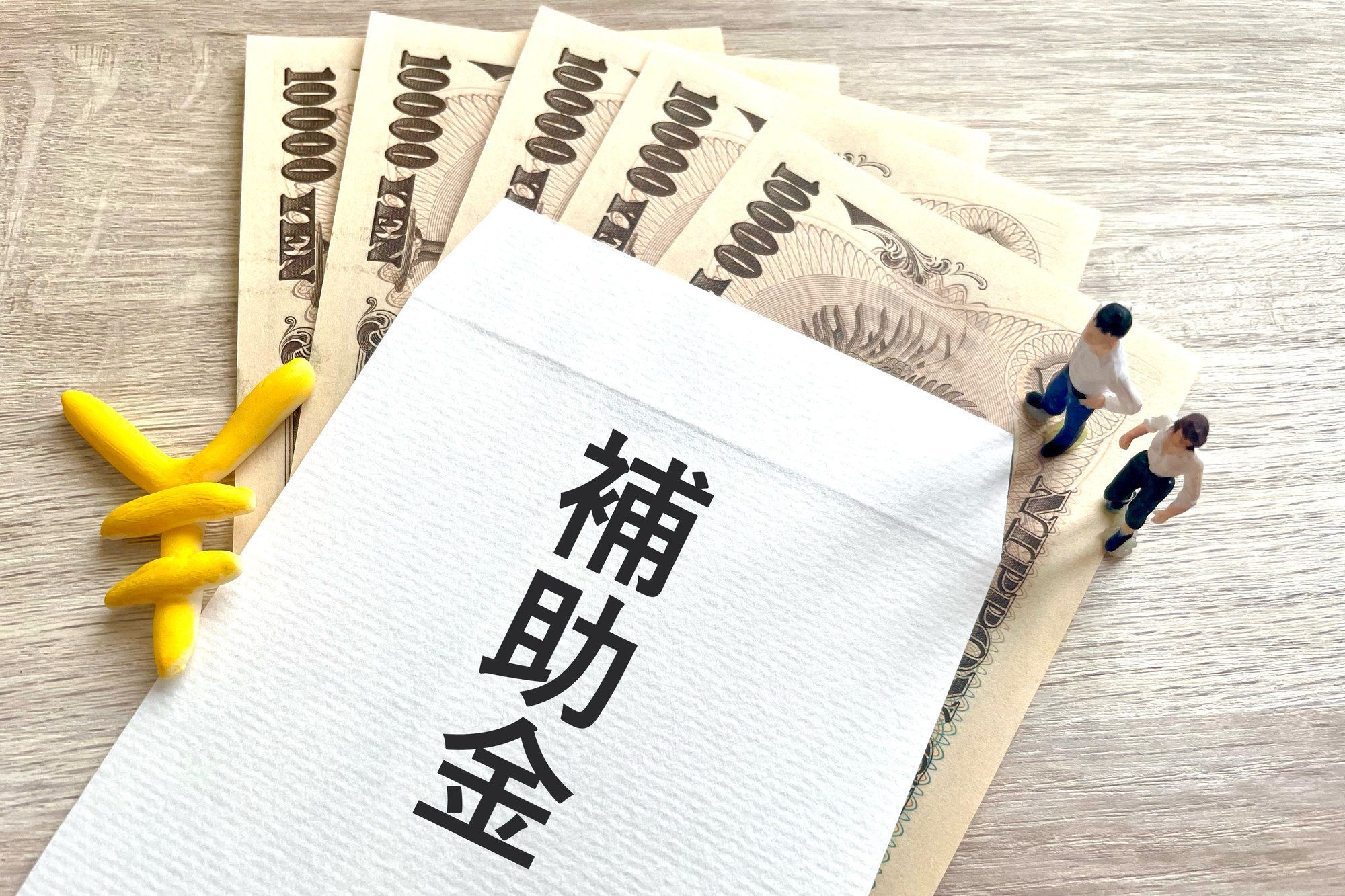 助成金・補助金違い？目的や管轄、財源の違いを分かりやすく解説-2.