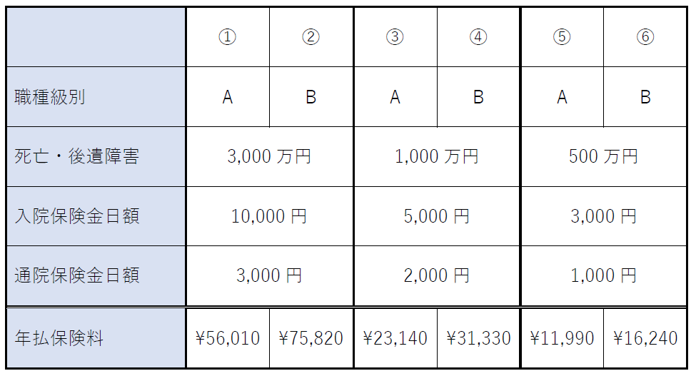 傷害保険の保険料例